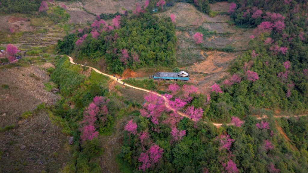 Hanoi to Sapa on the mountain route