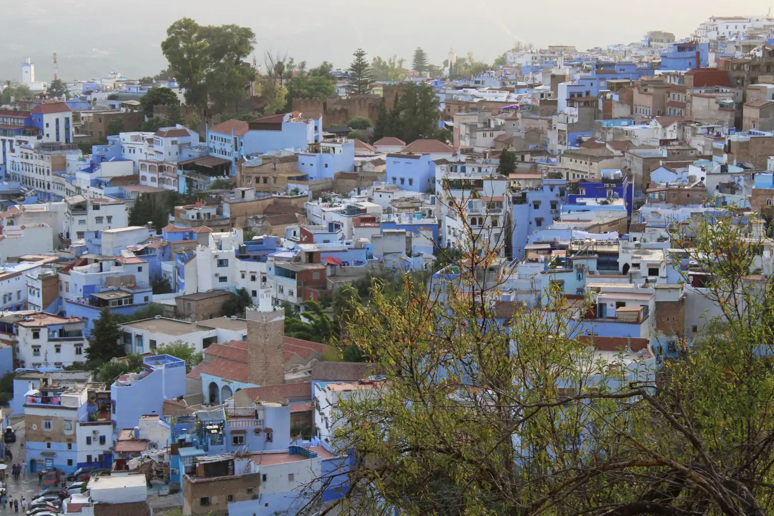 Blue rooftops of Chefchaouen in the Rif Mountains