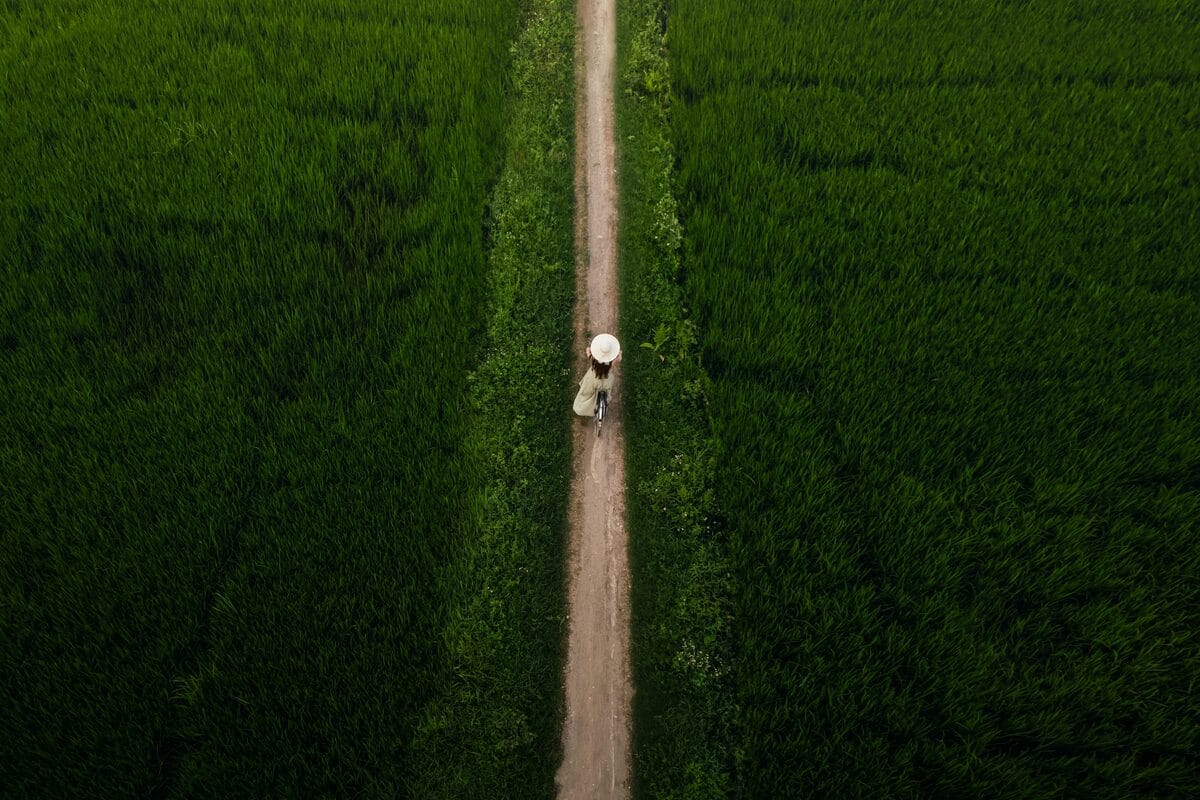 Solo traveler walking through green fields in Vietnam